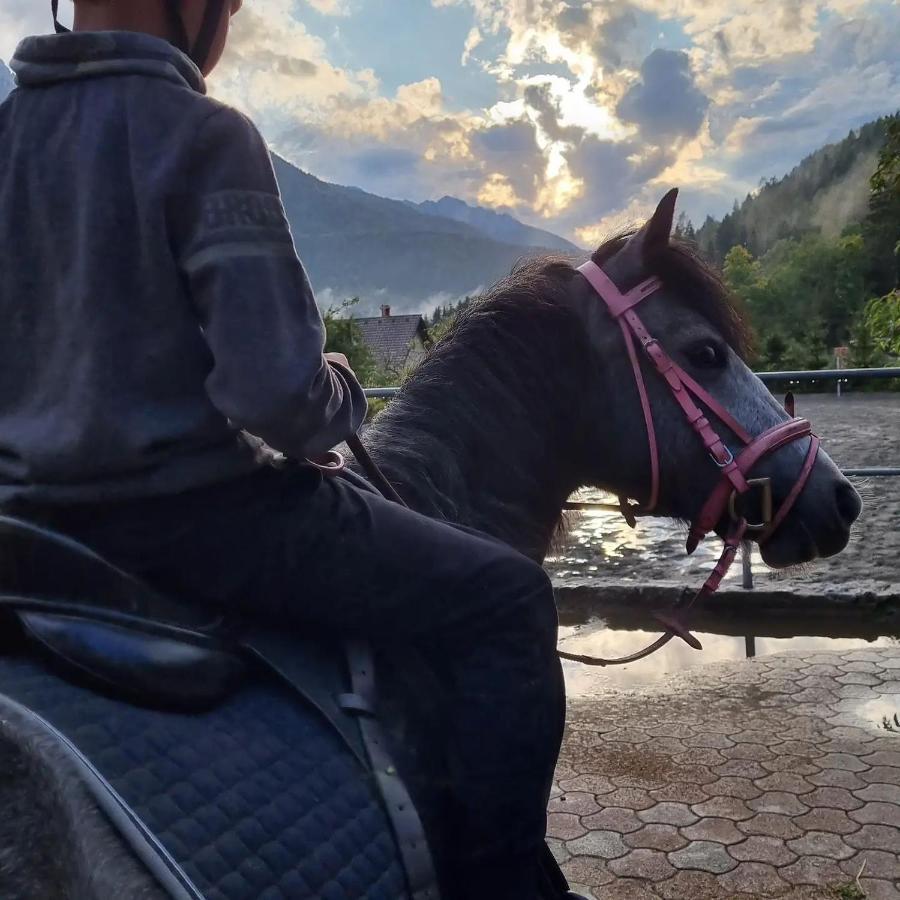 克拉尼斯卡戈拉Sport & Sunny Cosy Alpine Retreat公寓 外观 照片